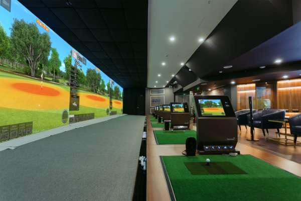 GDR Golf Simulator - Image 2