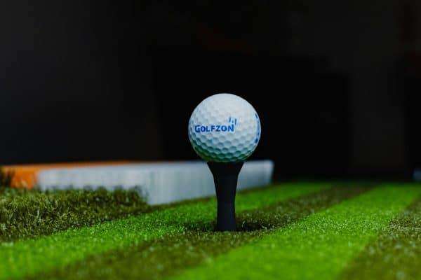 TwoVision Plus Golf Simulator - Image 8