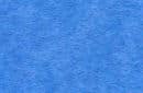 Blue Jay