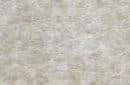 Buckskin