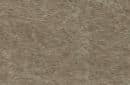 Dark Buckskin