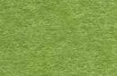 Pear Green